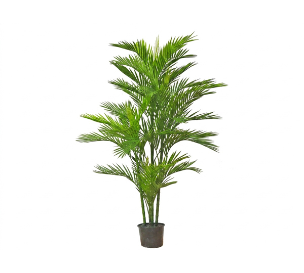 Parlour Palm UV 1.3m